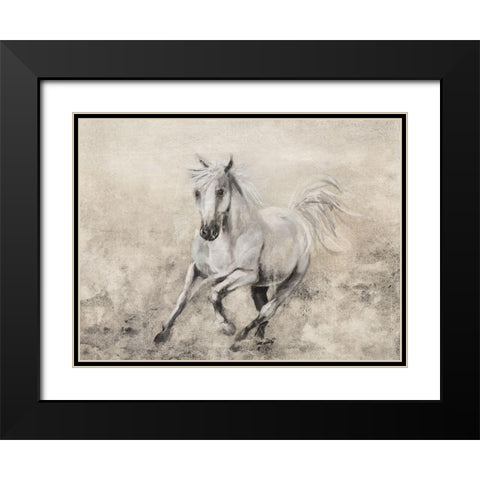 Majestic Stallion II Black Modern Wood Framed Art Print with Double Matting by Brooks, Donna