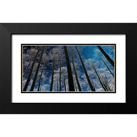 Night Silhouette Black Modern Wood Framed Art Print with Double Matting by Jill, Susan