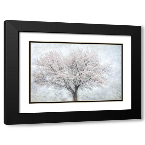 A Feel of Spring II Black Modern Wood Framed Art Print with Double Matting by Weisz, Irene