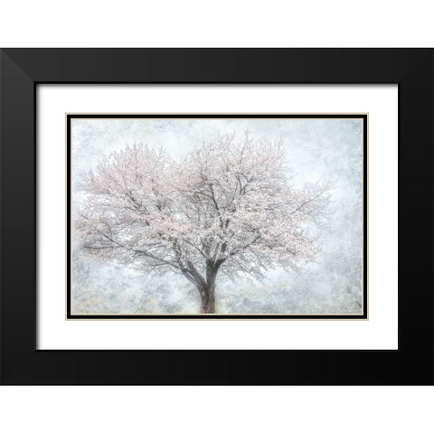 A Feel of Spring II Black Modern Wood Framed Art Print with Double Matting by Weisz, Irene