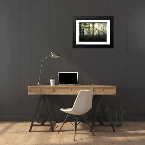 Light and Trees Black Modern Wood Framed Art Print with Double Matting by Foulke, Doug