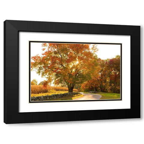 Maple Tree Drive Black Modern Wood Framed Art Print with Double Matting by Foulke, Doug