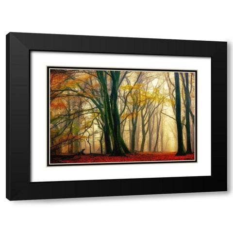 In Love with Fall Black Modern Wood Framed Art Print with Double Matting by Van de Goor, Lars