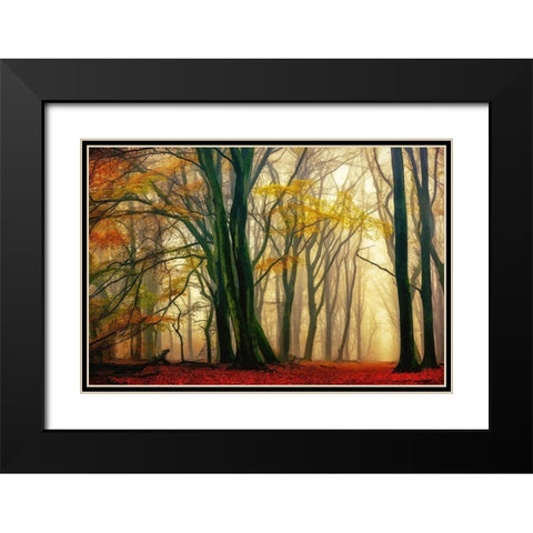 In Love with Fall Black Modern Wood Framed Art Print with Double Matting by Van de Goor, Lars