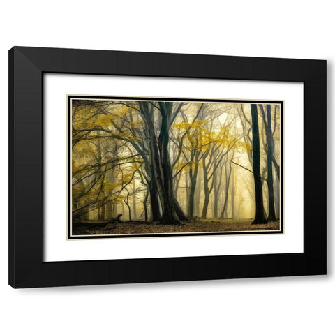 In Love with Golden Fall Black Modern Wood Framed Art Print with Double Matting by Van de Goor, Lars