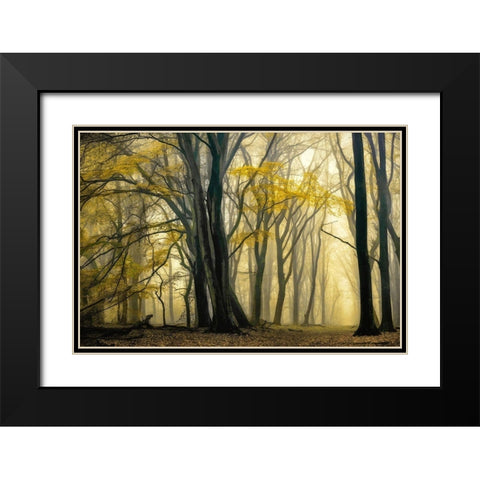 In Love with Golden Fall Black Modern Wood Framed Art Print with Double Matting by Van de Goor, Lars