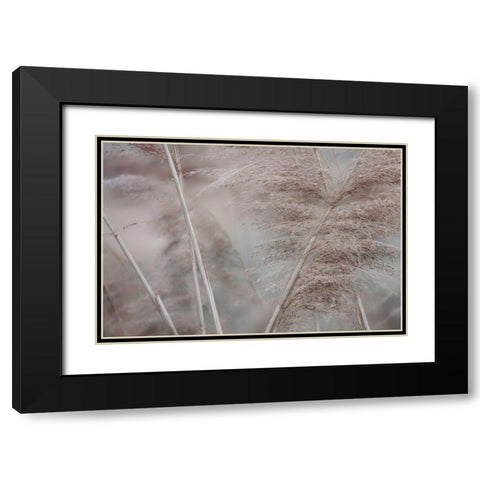 Pampas Field II Black Modern Wood Framed Art Print with Double Matting by Weisz, Irene