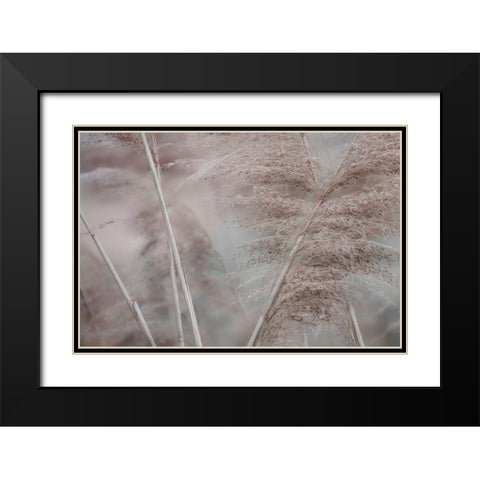 Pampas Field II Black Modern Wood Framed Art Print with Double Matting by Weisz, Irene