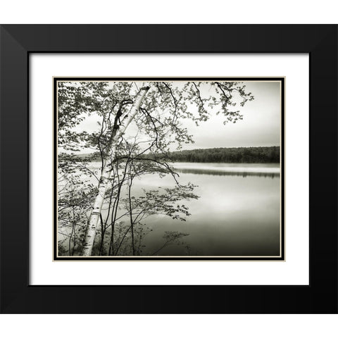 Adirondack Reflections Black Modern Wood Framed Art Print with Double Matting by Murray, Chris