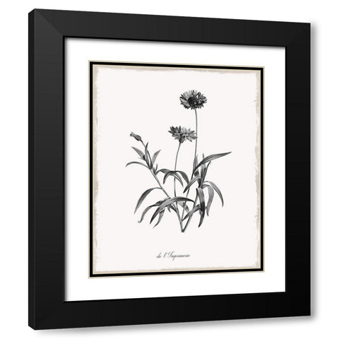 Simply Imperial Black Modern Wood Framed Art Print with Double Matting by Donovan, Kelly