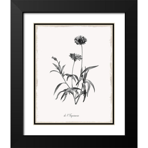 Simply Imperial Black Modern Wood Framed Art Print with Double Matting by Donovan, Kelly