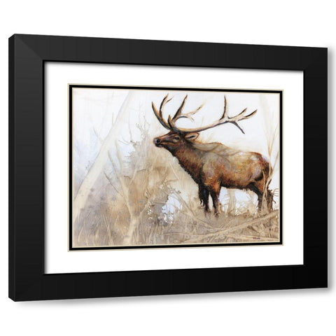 Majestic Moose Black Modern Wood Framed Art Print with Double Matting by Brooks, Donna