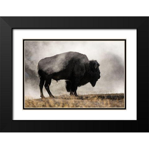 Geyser Basin Black Modern Wood Framed Art Print with Double Matting by Jones, Adam