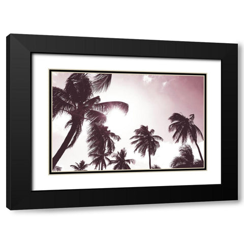 Palm Sunshine Black Modern Wood Framed Art Print with Double Matting by Carpentieri, Natalie