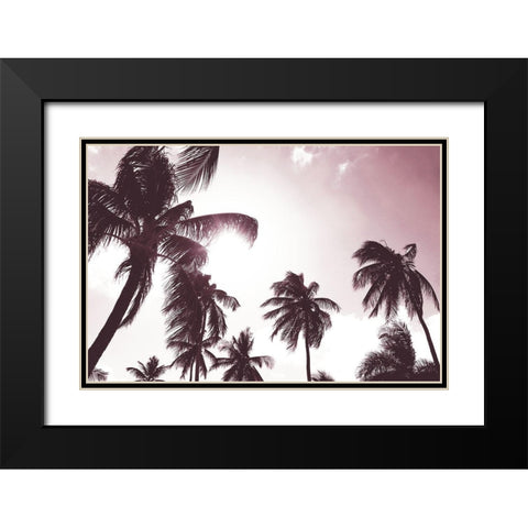 Palm Sunshine Black Modern Wood Framed Art Print with Double Matting by Carpentieri, Natalie