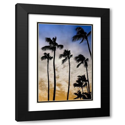 Evenings Edge II Black Modern Wood Framed Art Print with Double Matting by Carpentieri, Natalie