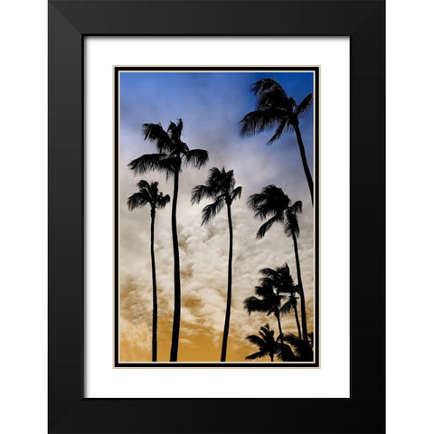 Evenings Edge II Black Modern Wood Framed Art Print with Double Matting by Carpentieri, Natalie