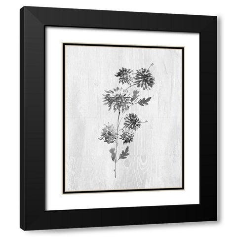 Neutral Meadow II Black Modern Wood Framed Art Print with Double Matting by Knutsen, Conrad