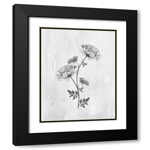 Neutral Meadow III Black Modern Wood Framed Art Print with Double Matting by Knutsen, Conrad