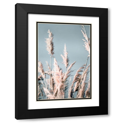 Pretty Pampas I Black Modern Wood Framed Art Print with Double Matting by Bergham, Brent