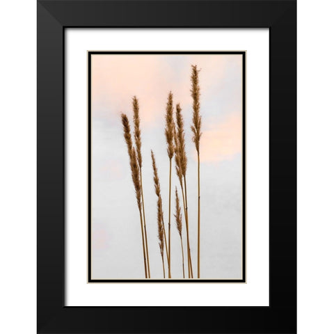 Sunset Pond I Black Modern Wood Framed Art Print with Double Matting by Jones, Adam