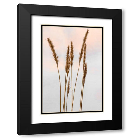 Sunset Pond II Black Modern Wood Framed Art Print with Double Matting by Jones, Adam