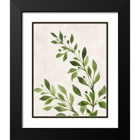Botanical Wash I Black Modern Wood Framed Art Print with Double Matting by Knutsen, Conrad