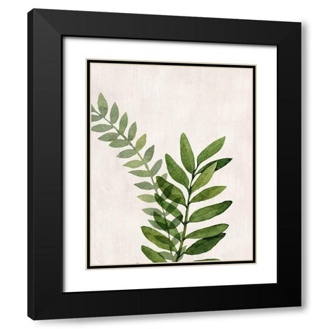 Botanical Wash II Black Modern Wood Framed Art Print with Double Matting by Knutsen, Conrad