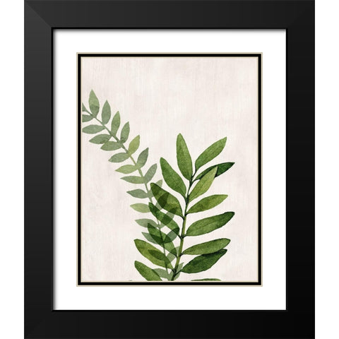 Botanical Wash II Black Modern Wood Framed Art Print with Double Matting by Knutsen, Conrad