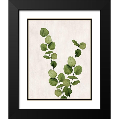 Botanical Wash III Black Modern Wood Framed Art Print with Double Matting by Knutsen, Conrad