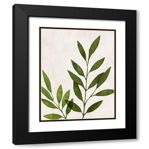 Botanical Wash IV Black Modern Wood Framed Art Print with Double Matting by Knutsen, Conrad