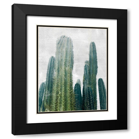 Aruba Cacti I Black Modern Wood Framed Art Print with Double Matting by Carpentieri, Natalie