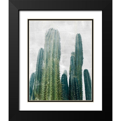 Aruba Cacti I Black Modern Wood Framed Art Print with Double Matting by Carpentieri, Natalie
