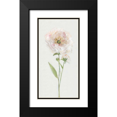 Single Stem Peony II Black Modern Wood Framed Art Print with Double Matting by Swatland, Sally