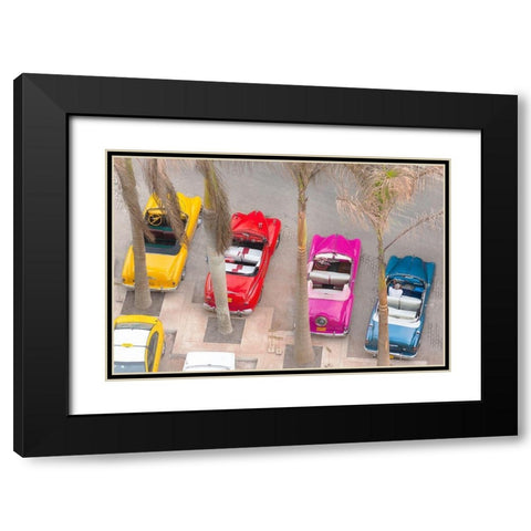 Colorful Classics Black Modern Wood Framed Art Print with Double Matting by Delimont, Danita