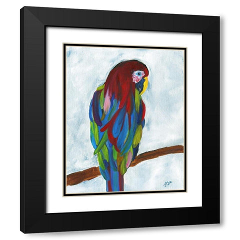 Tropical Parrot Black Modern Wood Framed Art Print with Double Matting by Cole, Jan