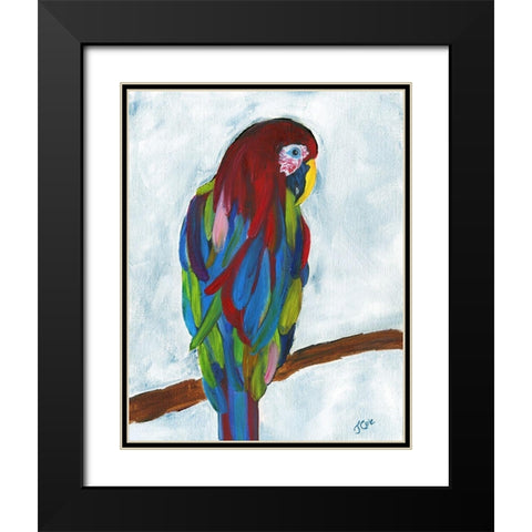 Tropical Parrot Black Modern Wood Framed Art Print with Double Matting by Cole, Jan