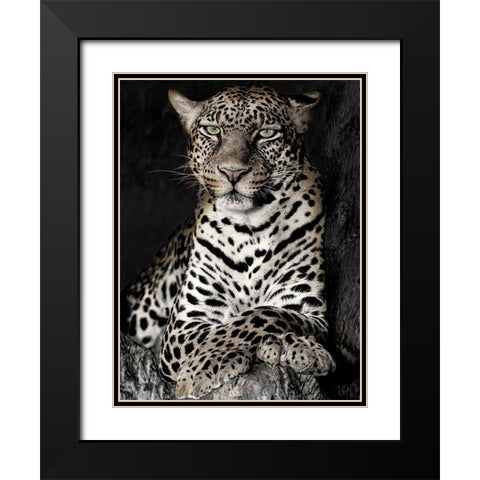 African Leopard Black Modern Wood Framed Art Print with Double Matting by Jaynes, William D.