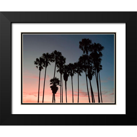 Venice Beach Black Modern Wood Framed Art Print with Double Matting by Carpentieri, Natalie