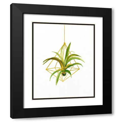 Hanging Airplant I Black Modern Wood Framed Art Print with Double Matting by Nan