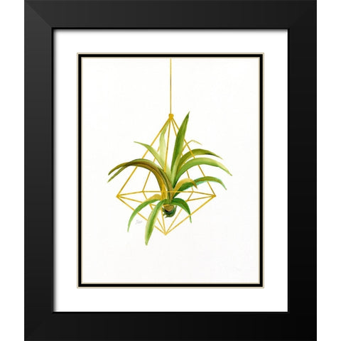 Hanging Airplant I Black Modern Wood Framed Art Print with Double Matting by Nan