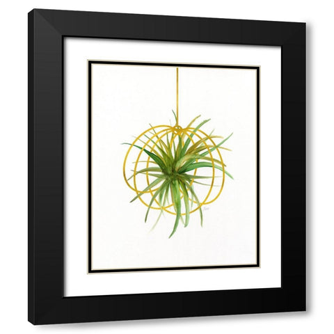 Hanging Airplant III Black Modern Wood Framed Art Print with Double Matting by Nan