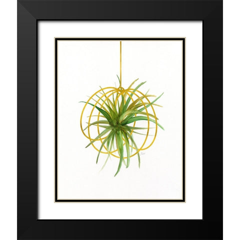 Hanging Airplant III Black Modern Wood Framed Art Print with Double Matting by Nan