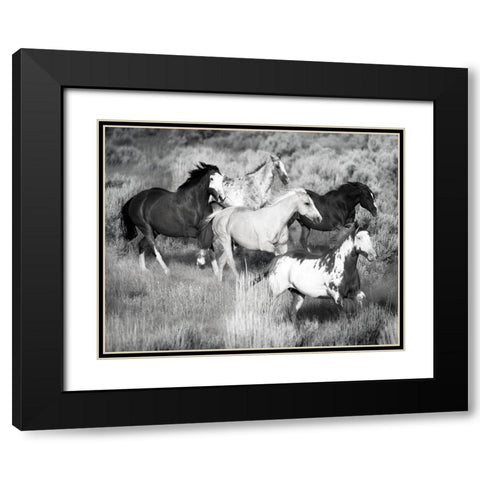 Prairie Run Black Modern Wood Framed Art Print with Double Matting by Jaynes, William D.