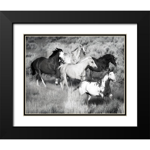Prairie Run Black Modern Wood Framed Art Print with Double Matting by Jaynes, William D.
