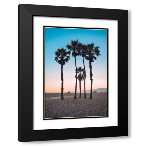 Santa Monica Palm Black Modern Wood Framed Art Print with Double Matting by Carpentieri, Natalie