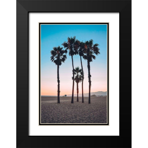 Santa Monica Palm Black Modern Wood Framed Art Print with Double Matting by Carpentieri, Natalie