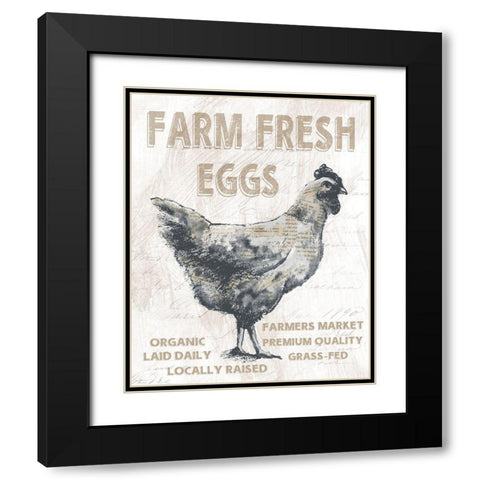 Farm Fresh Chicken Black Modern Wood Framed Art Print with Double Matting by Knutsen, Conrad