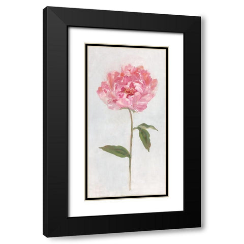 Peony II Black Modern Wood Framed Art Print with Double Matting by Swatland, Sally