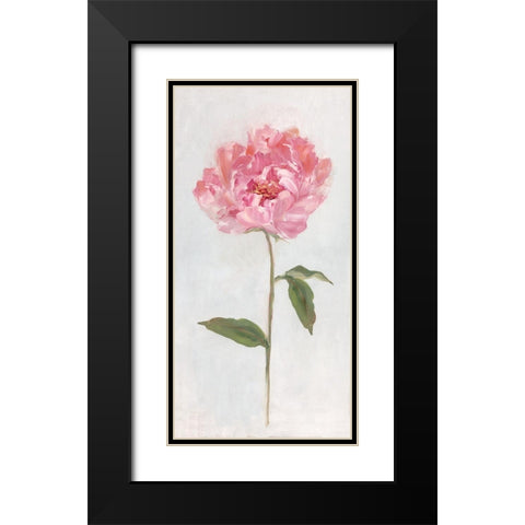 Peony II Black Modern Wood Framed Art Print with Double Matting by Swatland, Sally